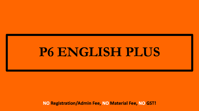 P6 ENGLISH PLUS